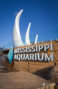 Mississippi Aquarium