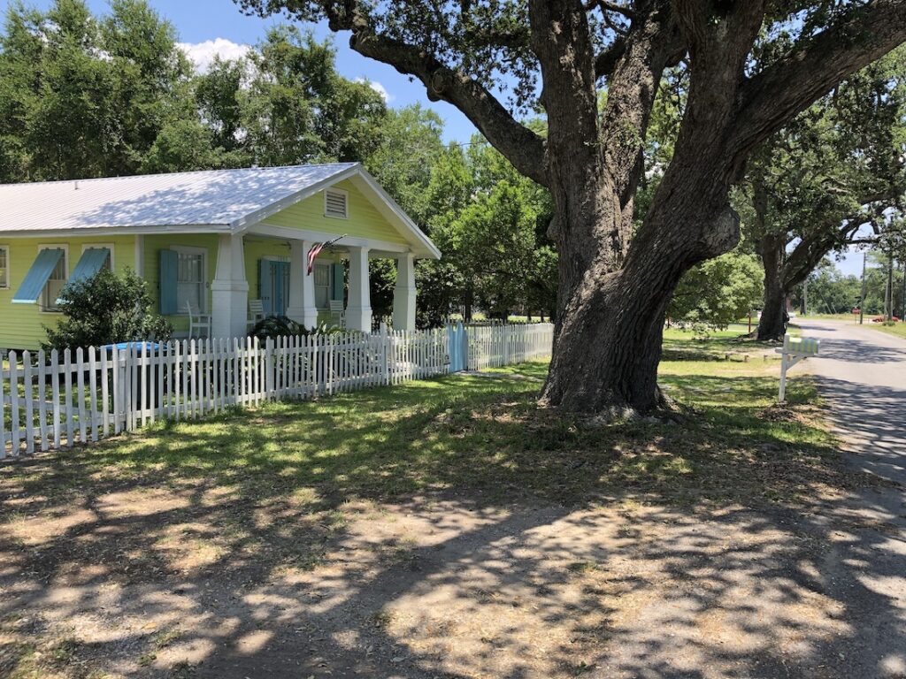 oak tree by an old house